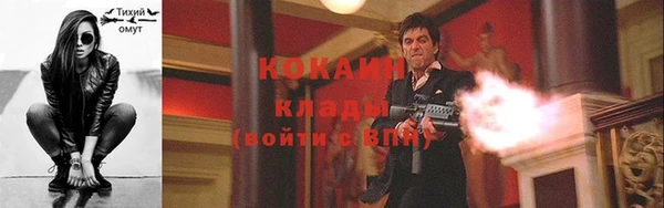 шишки Тобольск