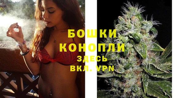 индика Тихорецк