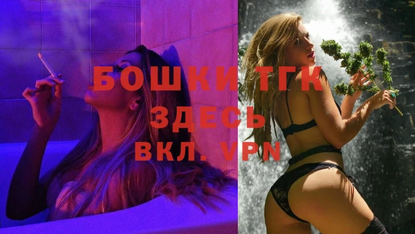 шишки Тобольск