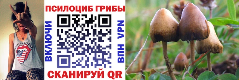 Псилоцибиновые грибы MAGIC MUSHROOMS  мориарти наркотические препараты  Нефтеюганск 