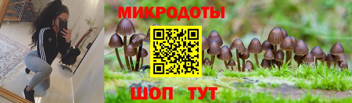 Нефтеюганск  Псилоцибиновые грибы Psilocybine cubensis  Вход с VPN 